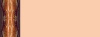 browngeo03bg1