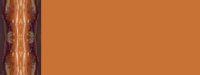 browngeo03bg2