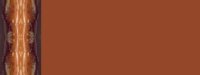 browngeo03bg3