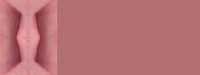 browngeo05bg3