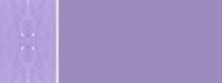 purplegeo02bg2