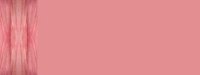 redgeo04bg3