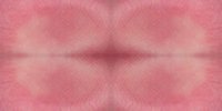 fleshgeo02