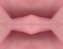 fleshgeo04