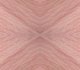 fleshgeo07