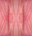 fleshgeo09
