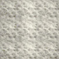 graygeo03