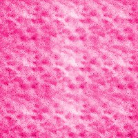 pinkgeo04