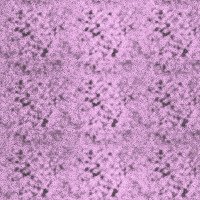 purplegeo13