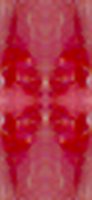 redgeo04