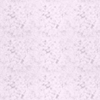 whitegeo08