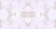 whitegeo13