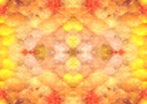 yellowgeo01
