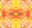 yellowgeo02