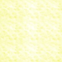 yellowgeo06
