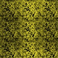 yellowgeo07