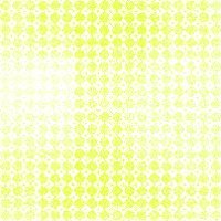yellowgeo09