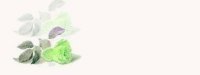sets/fallenrose02bg