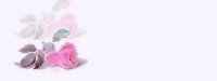 fallenrose04bg