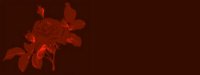 red02bg