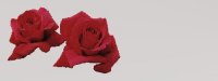 redx2bg