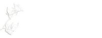 white01bg