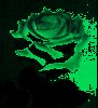 green01