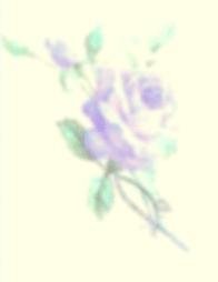 purple01