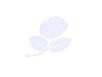purple02
