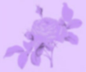 purple03