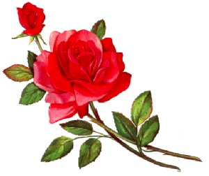 red04
