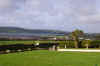 dingleB&B.jpg (26656 bytes)