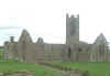 kilmallockabbey.jpg (22257 bytes)