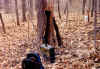 horseshoe pond cache 001.jpg (129743 bytes)