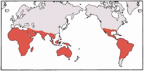 Distribution Map