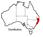 distribution