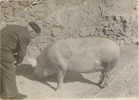 El Abuelo Felix Jimenez
