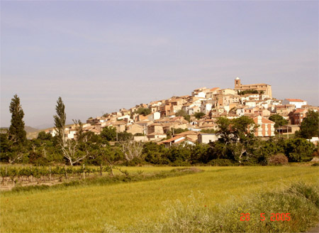 Gravalos con sembrados 2005