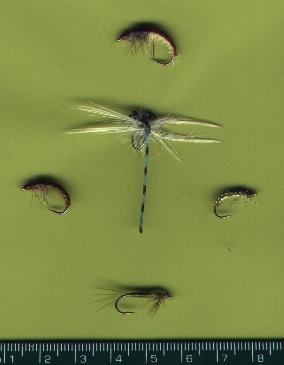 River Bugs
