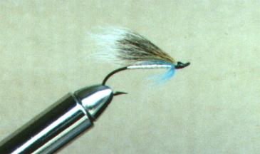 Squirrel, Blue & Silver-Seatrout Fly