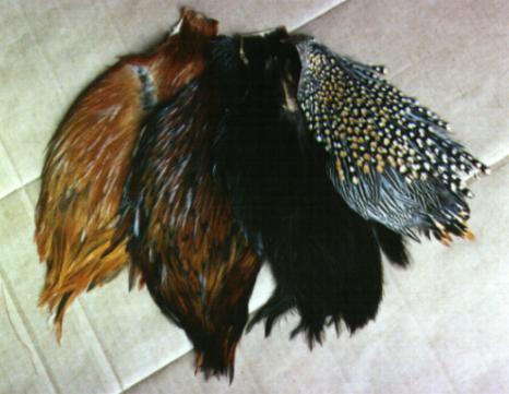 Natural Cock Capes