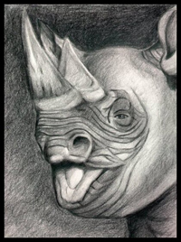 rhino duo