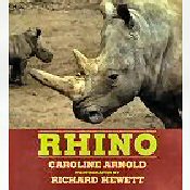 rhinos