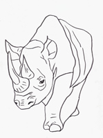 Rhino Stroll