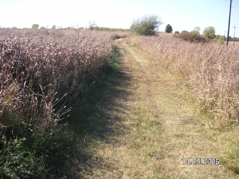 The good part of the Trail