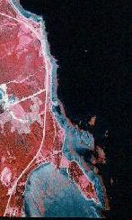Infra-red aerial photo of Little Metis Point. 11Kb.