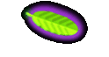 Congregations