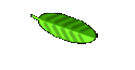 Contacts