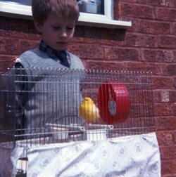 Fucking Bird