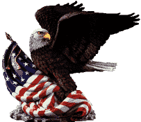 We Love the USA!